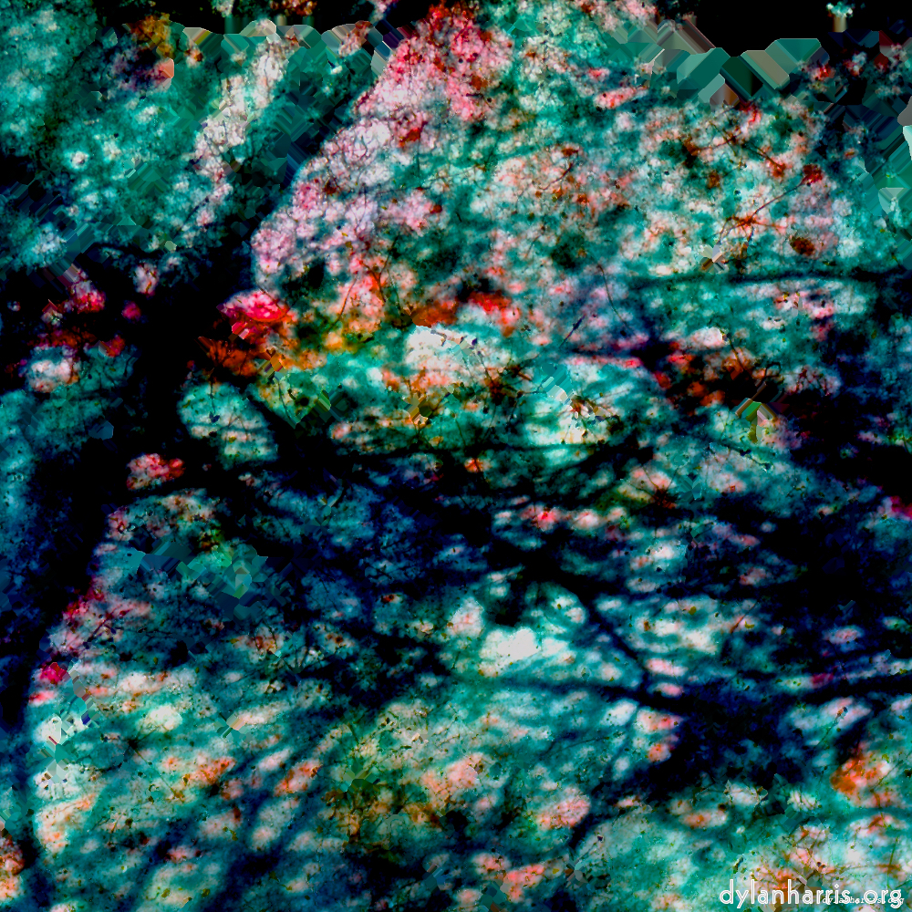 image: This is ‘damage (lxxix) 2’.