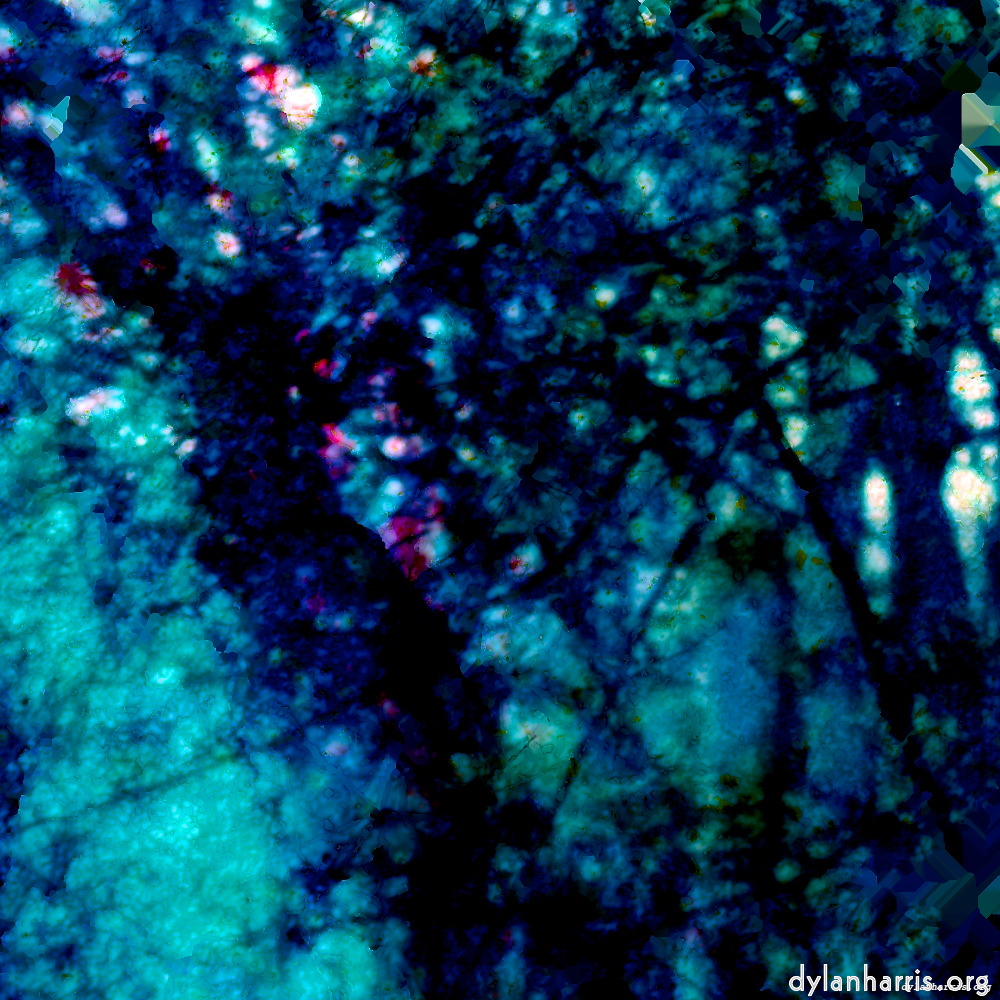 image: This is ‘damage (lxxix) 6’.