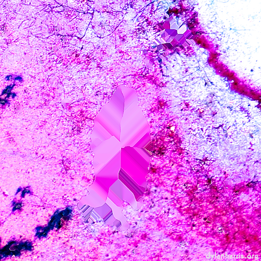 image: This is ‘damage (lxxxviii) 8’.