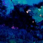 image: Image from the photoset ‘damage (xcvii)’.