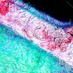 Image: Eighth image from the photoset 'damage (civ)'.