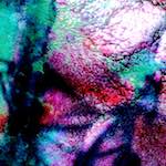 Image: Fifth image from the photoset 'damage (cv)'.