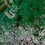 Image: Fourth image from the photoset 'damage (cvii)'.