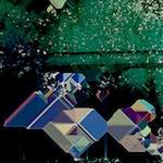 Image: First image from the photoset 'damage (cviii)'.