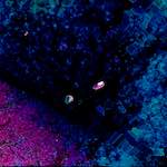 Image: Second image from the photoset 'damage (cxi)'.