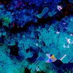 Image: Third image from the photoset 'damage (cxii)'.