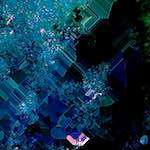 Image: Sixth image from the photoset 'damage (cxvii)'.