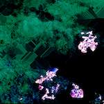 Image: Ninth image from the photoset 'damage (cxvii)'.