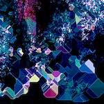 image: Image from the photoset ‘damage (cxxi)’.