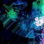 image: Image from the photoset ‘damage (cxxxi)’.
