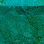 image: Image from the photoset ‘damage (cxxxvi)’.