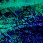 image: Image from the photoset ‘damage (cxxxvi)’.