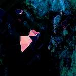 Image: Eighth image from the photoset 'damage (cil)'.