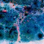 image: Image from the photoset ‘damage (cclxi)’.