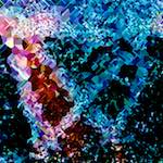 image: Image from the photoset ‘damage (cclxi)’.