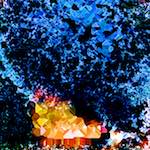 image: Image from the photoset ‘damage (cclxxxix)’.