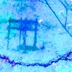 Fifth image from the photoset 'damage (ccxii)'.
