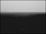 Image: First image from the photoset 'holme fen'.