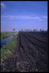 Image: Fourth image from the photoset 'holme fen'.