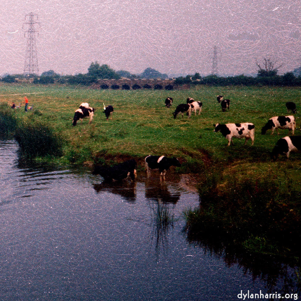 image: This is ‘river beds. 6’.