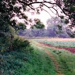 image: tempsford fotogruppen