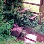 Second image from the photoset 'tempsford (ii)'.
