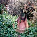 Fifth image from the photoset 'tempsford (ii)'.