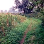 Eighth image from the photoset 'tempsford (ii)'.