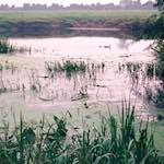 Ninth image from the photoset 'tempsford (ii)'.