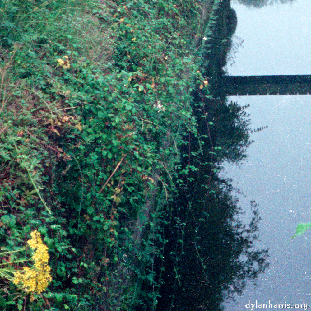 image: River Ouse, Tempsford, Beds.