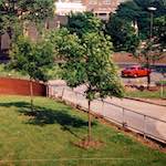 Image: Fifth image from the photoset 'woolwich (i)'.