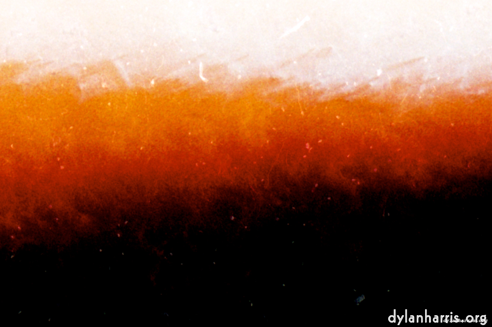 Image: Image 'fire (ix) 4'.
