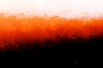 Image: Fourth image from the photoset 'fire (ix)'.
