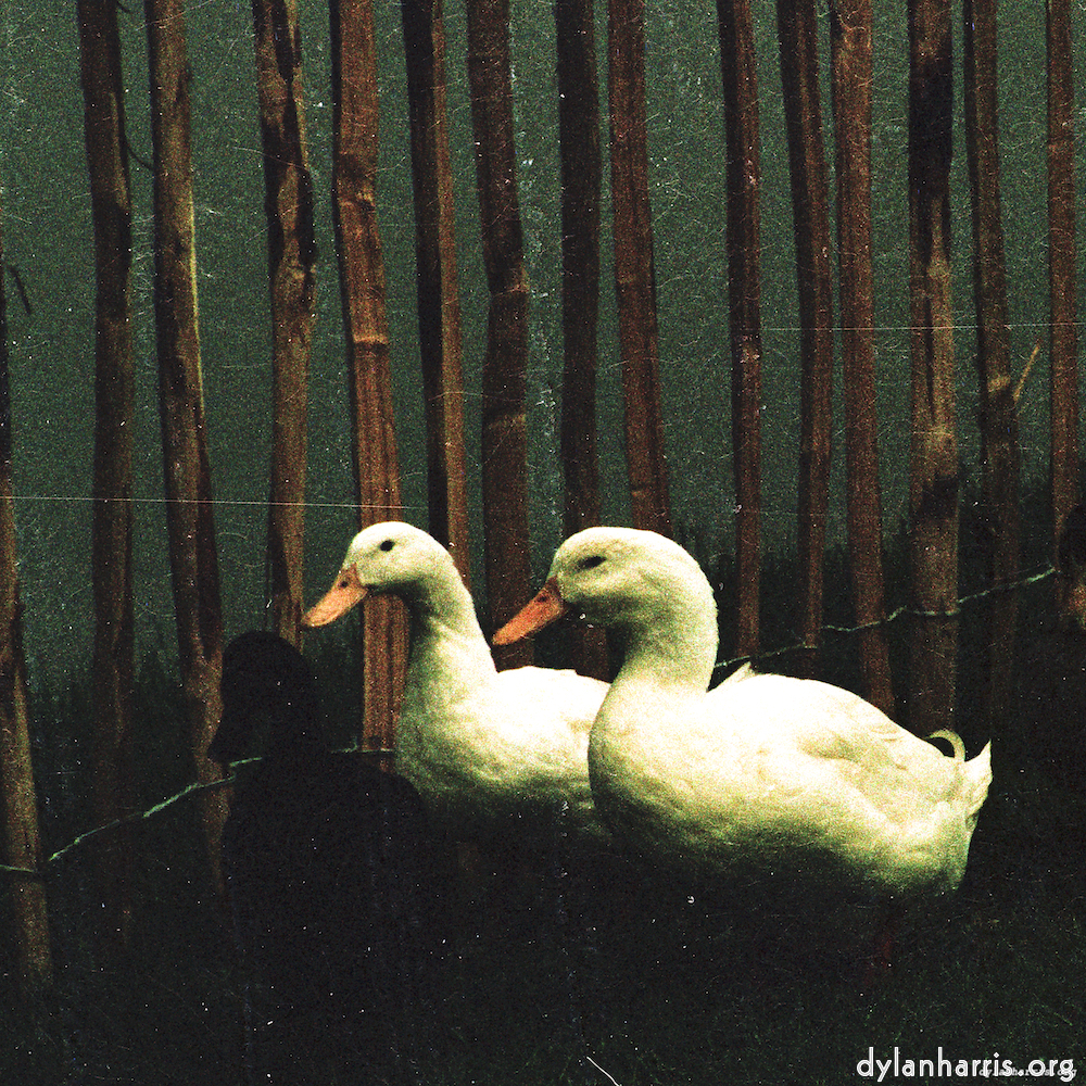 image: This is ‘untitled (xxxvi) 1’.