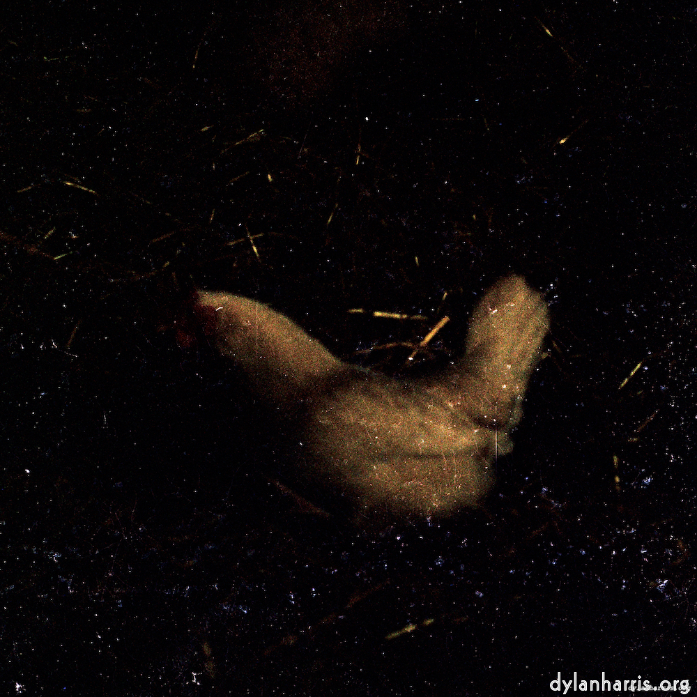 image: This is ‘untitled (xxxvi) 3’.