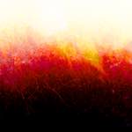 image: Image from the photoset ‘fire (xxxiii)’.