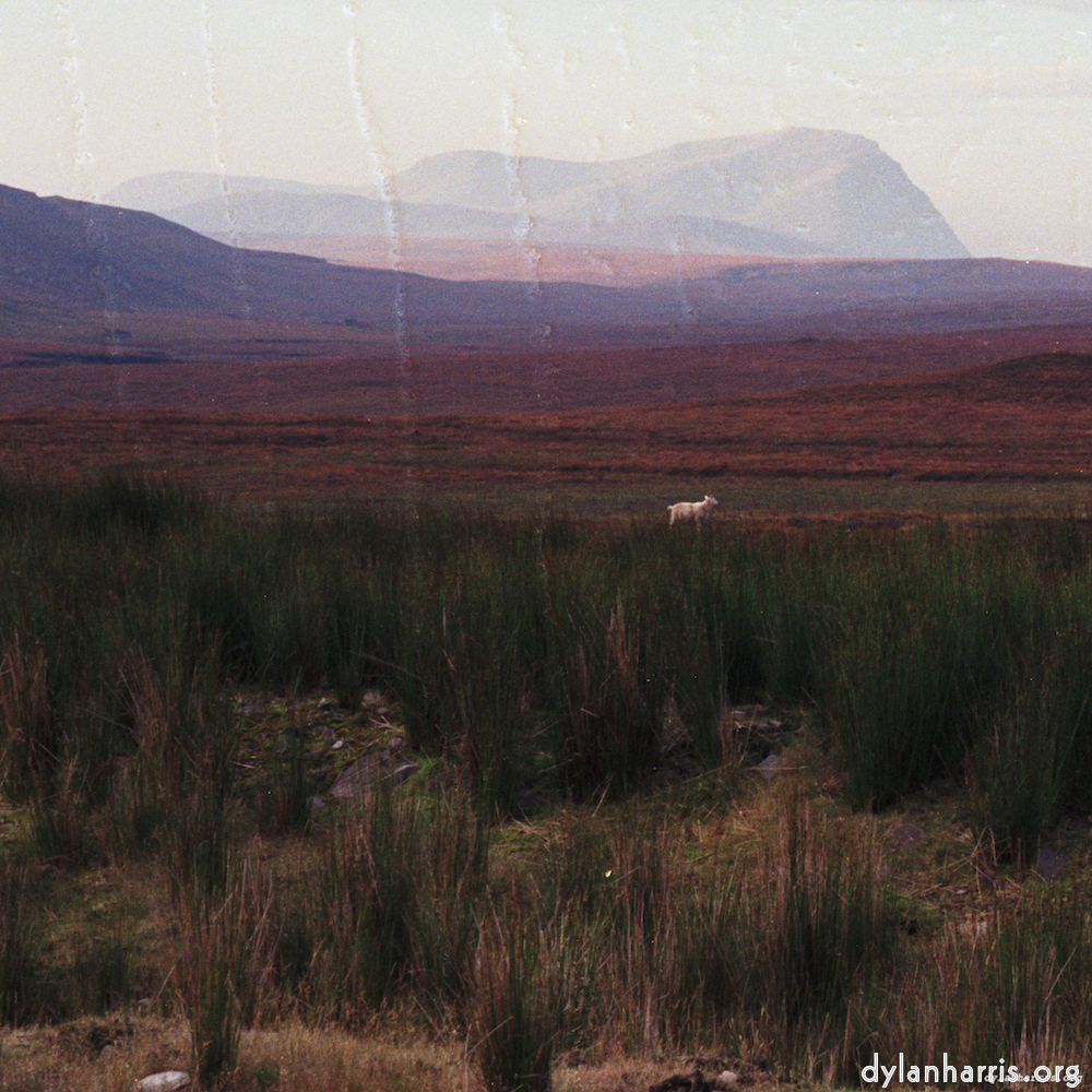 Image: Image 'highlands (xviii) 2'.