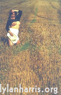 Image 'kerry (iii) 5'.