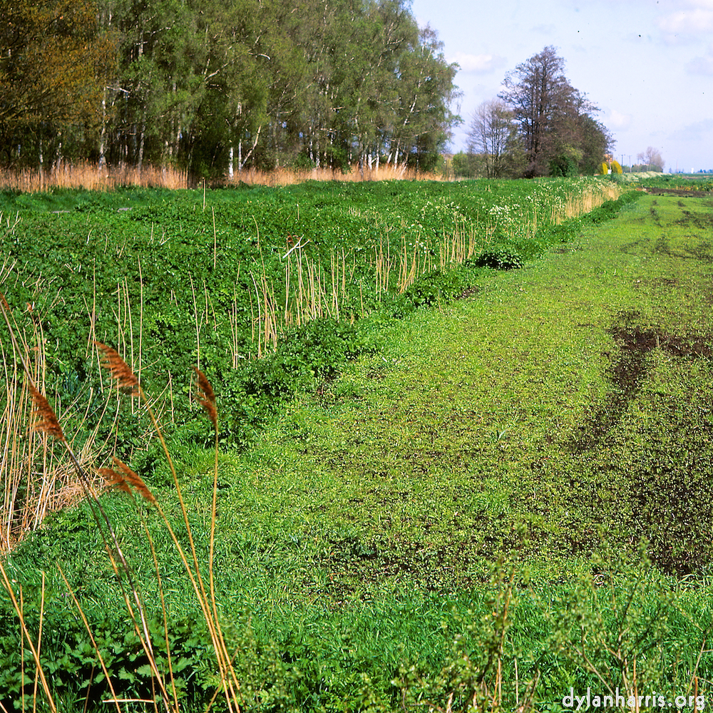 Image 'fen (xi) 2'.
