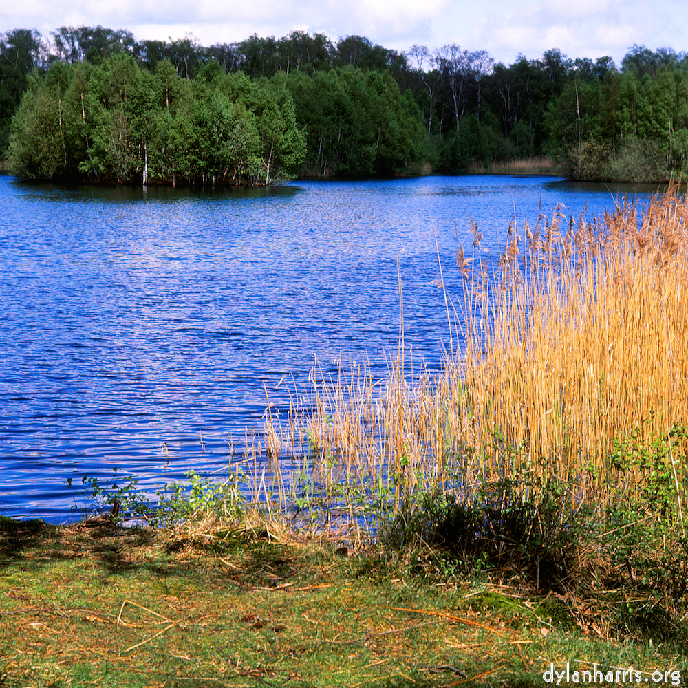 Image 'fen (xi) 3'.