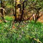 First image from the photoset 'fen (xi)'.