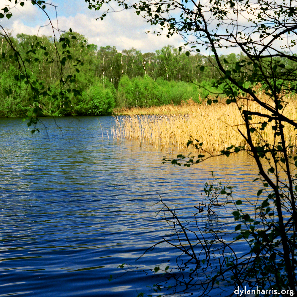 image: This is ‘fen (xii) 3’.