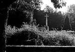 Image: First image from the photoset 'wood (ii)'.