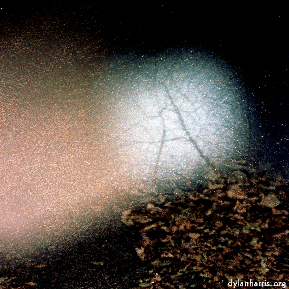 Image 'auto (v) 2'.