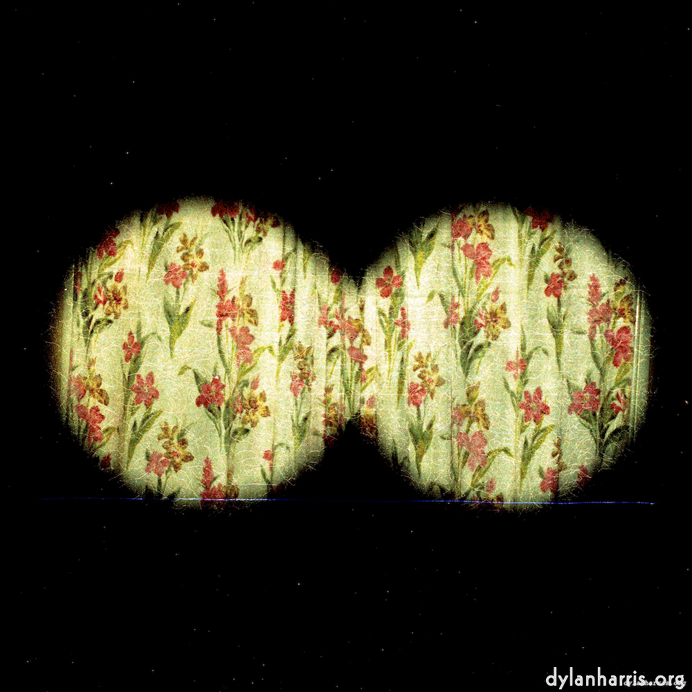 Image 'auto (v) 4'.