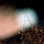 Second image from the photoset 'auto (v)'.
