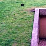First image from the photoset 'edinburgh (ix)'.