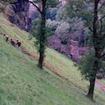 image: 1980s edinburgh photoset