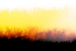 Image: Third image from the photoset 'fire (xxvii)'.