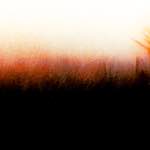 Image: Sixth image from the photoset 'fire (xxi)'.